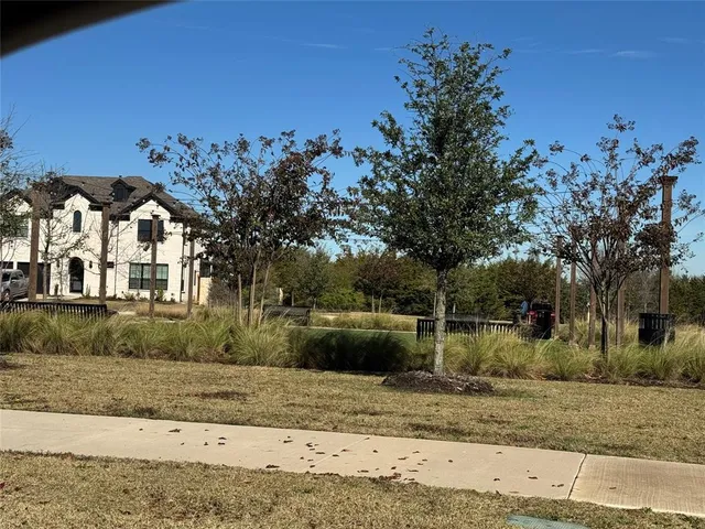 a view of a yard with a tree
