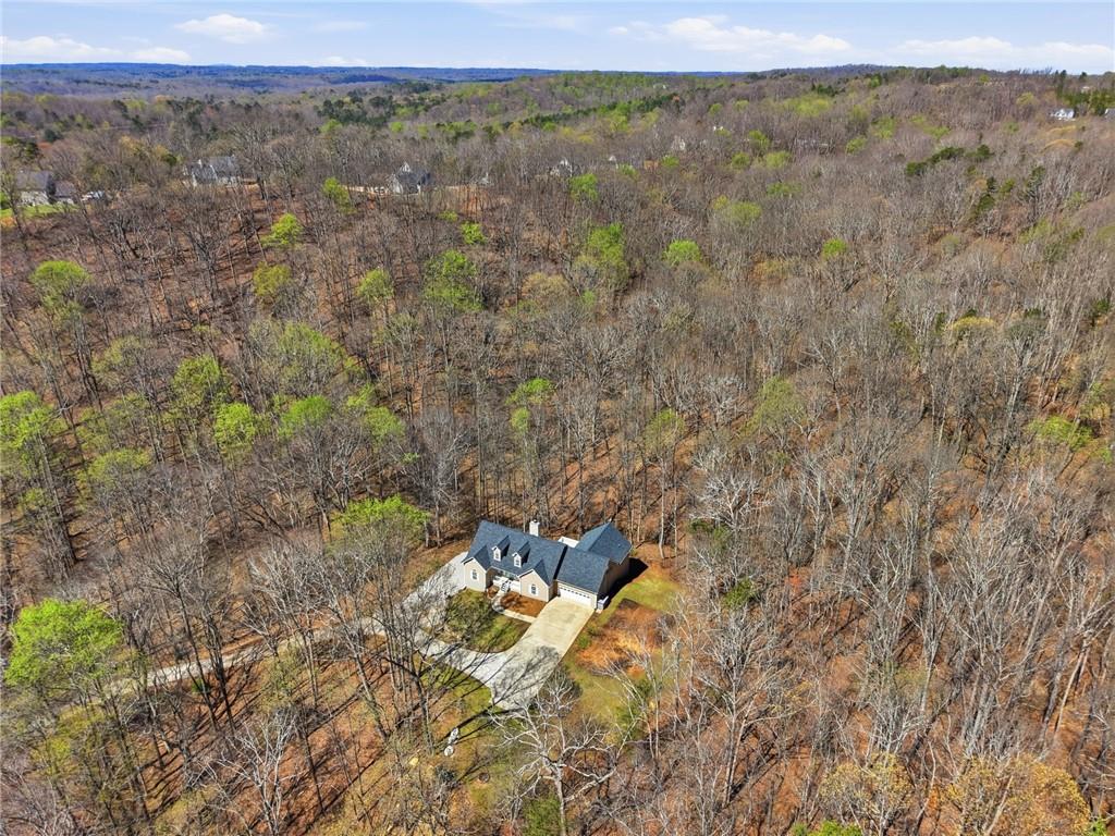 3664 McEver Lake Road Pendergrass, GA 30567 - Photo 36 of 39 a view of a forest with trees in the background