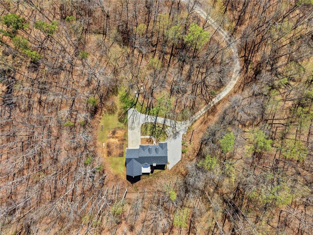 3664 McEver Lake Road Pendergrass, GA 30567 - Photo 38 of 39 a backyard of a house with a tree