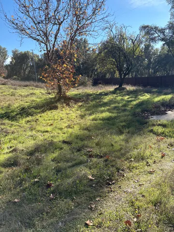 a view of a yard with a tree