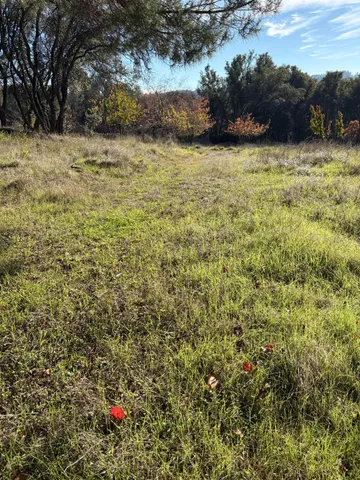a view of outdoor space and green space