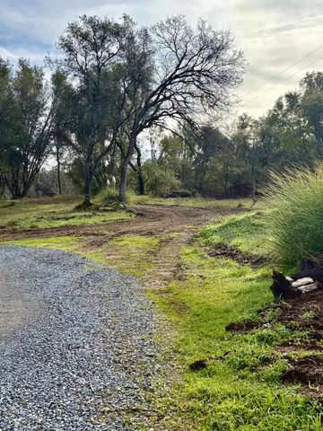 a view of a yard with a trees