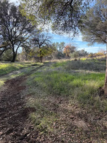 a view of beach and an ocean