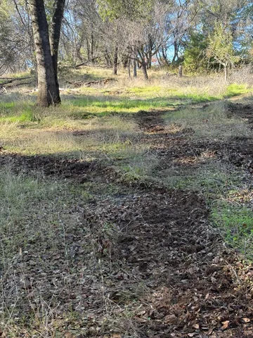 a view of a yard with a tree