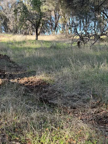 a view of a yard with an outdoor space