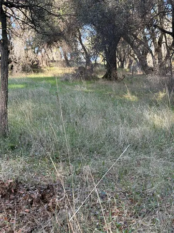 a view of outdoor space and yard