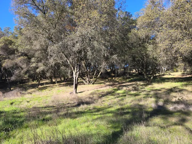 a view of outdoor space with a garden