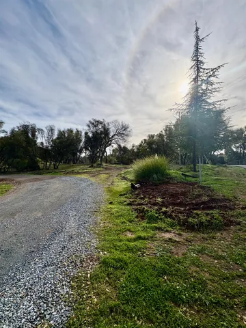 a view of a field with an trees
