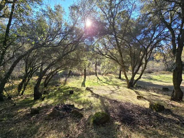a view of outdoor space with trees all around