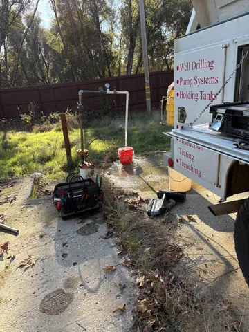 a view of a backyard with table and chairs potted plants