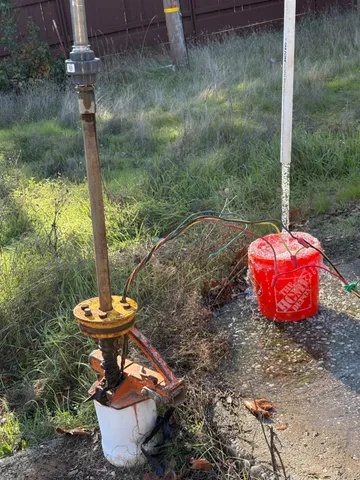 a view of a lush green space