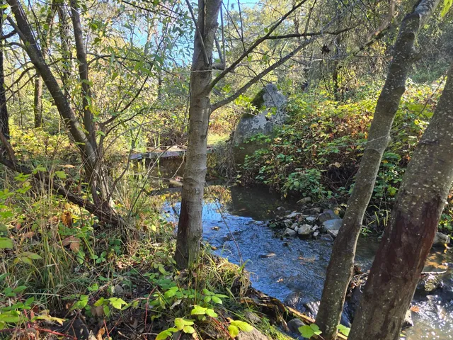 a backyard of a house with lots of green space