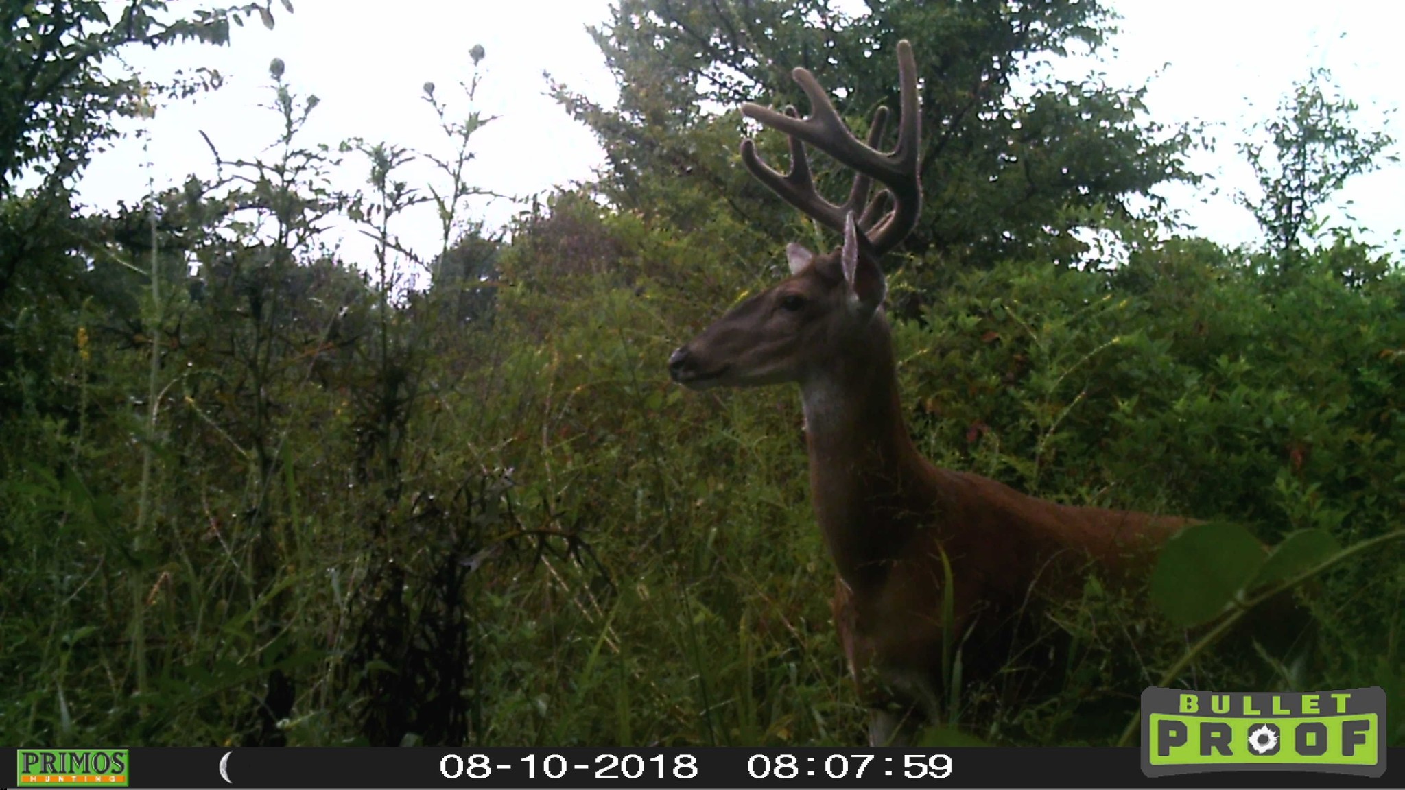 822 Butler Bridge Road Portland, TN 37148 - Photo 17 of 20