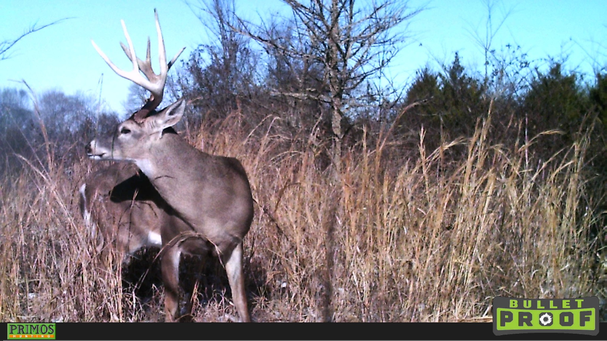822 Butler Bridge Road Portland, TN 37148 - Photo 19 of 20
