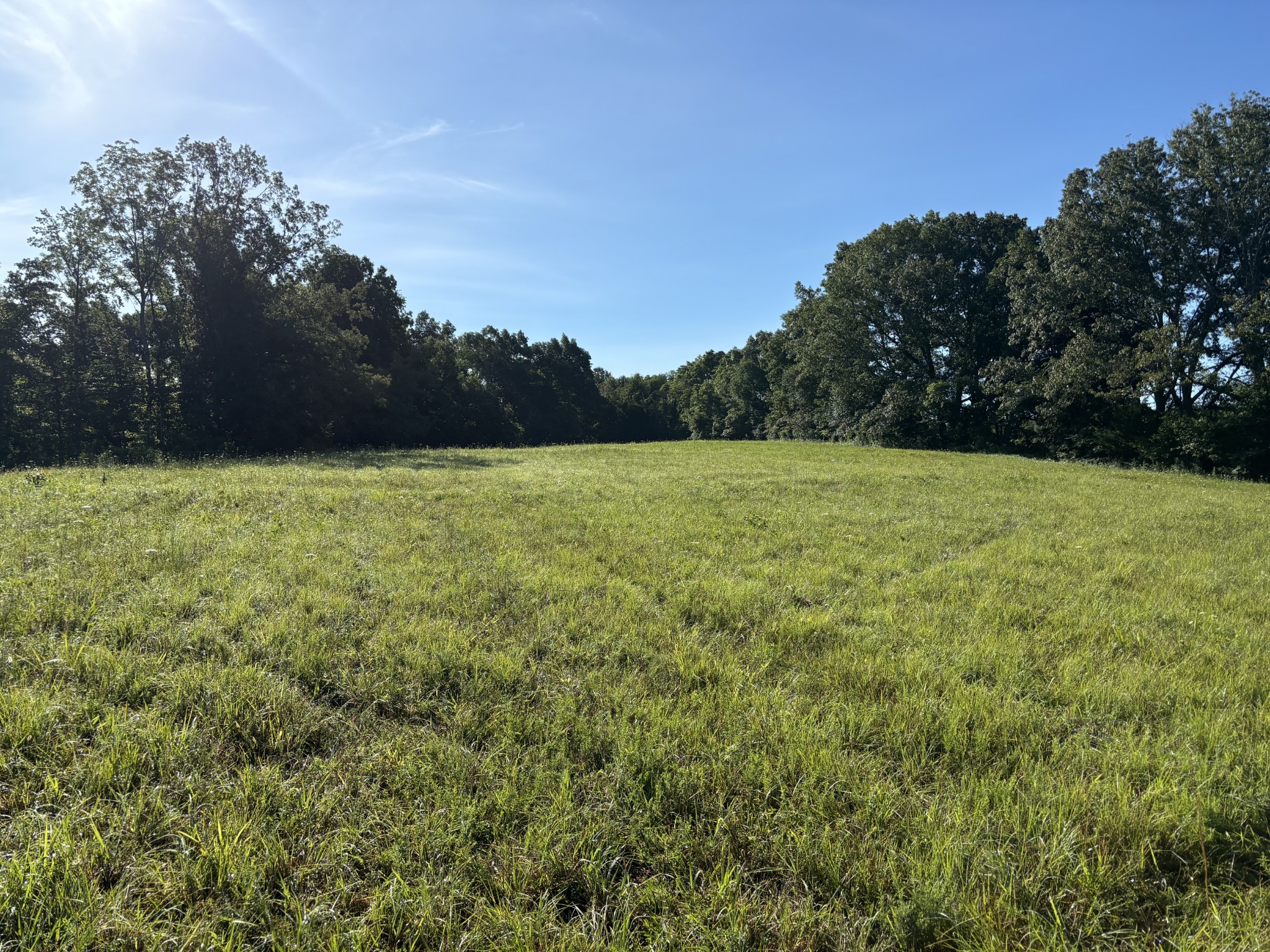 822 Butler Bridge Road Portland, TN 37148 - Photo 2 of 20