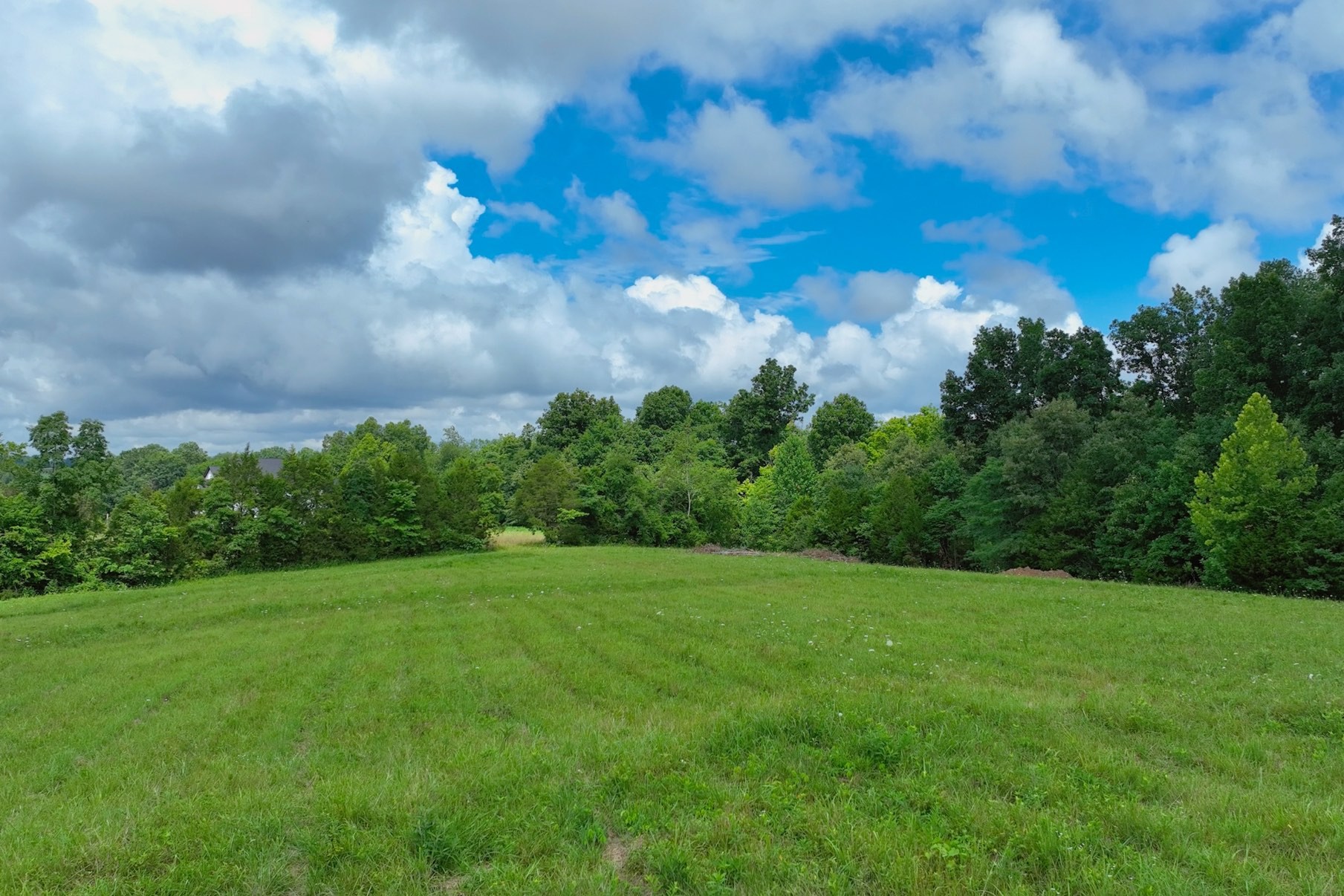 822 Butler Bridge Road Portland, TN 37148 - Photo 3 of 20