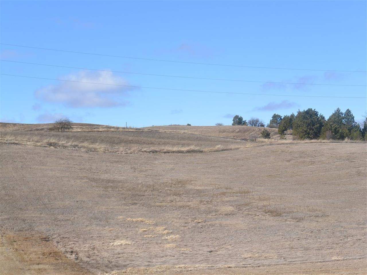 86-xx South Hayford Road Cheney, WA 99004 - Photo 3 of 8