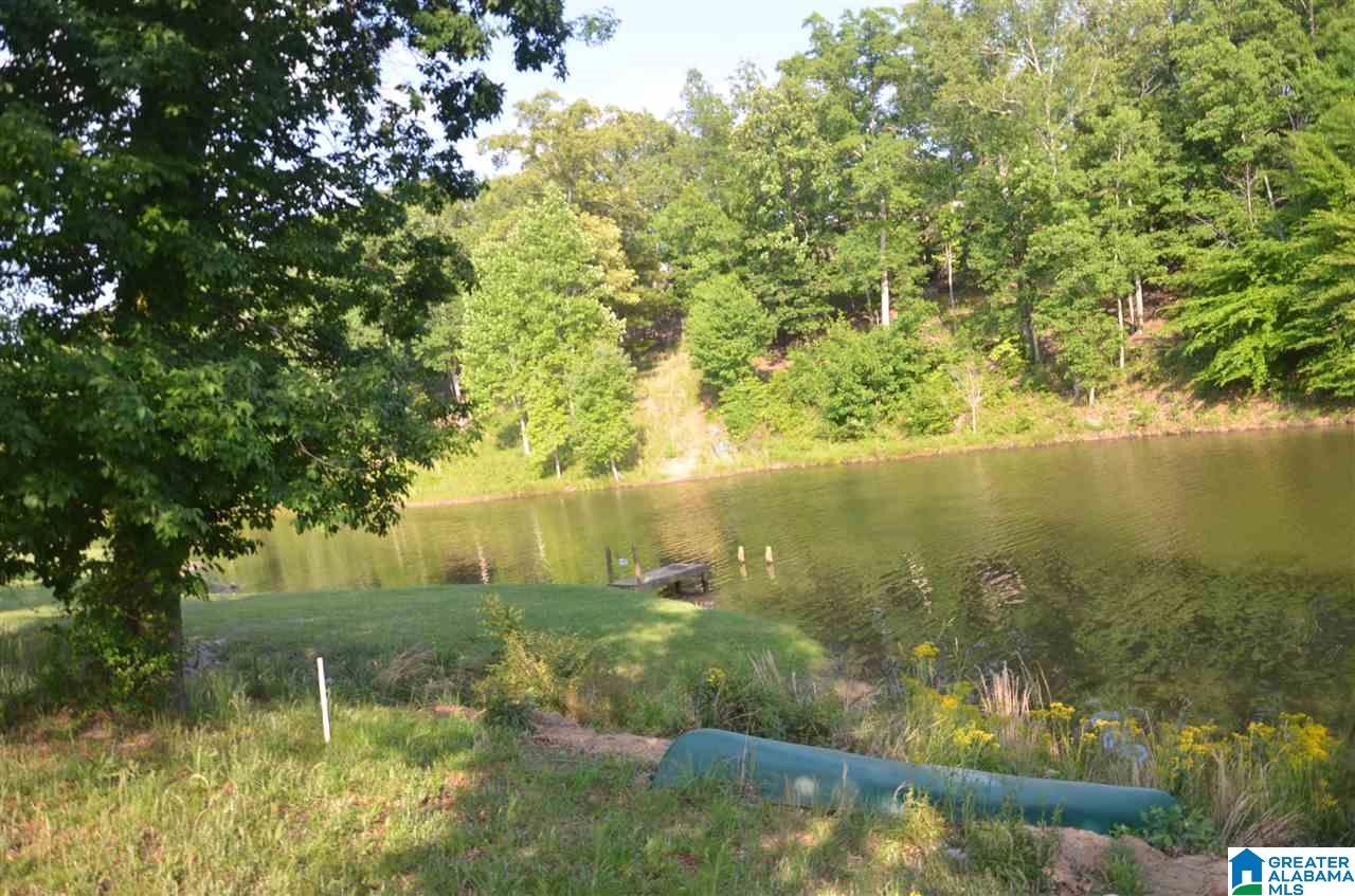2836 Aster Lake Road Helena, AL 35022 - Photo 7 of 41