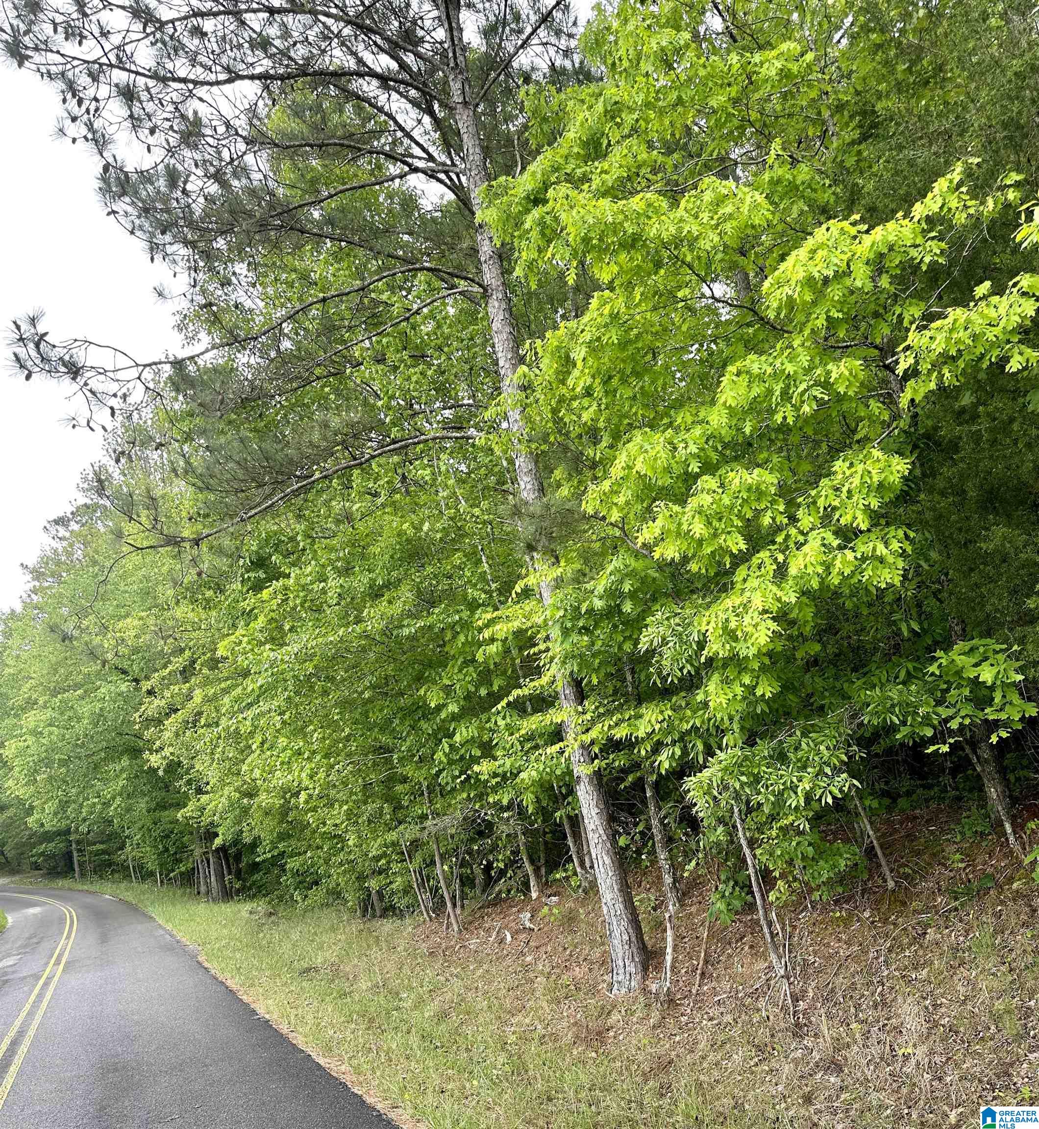 0 Jackson Trace Road, Unit M&B Ohatchee, AL 36271 - Photo 7 of 8 Gallery Image 7