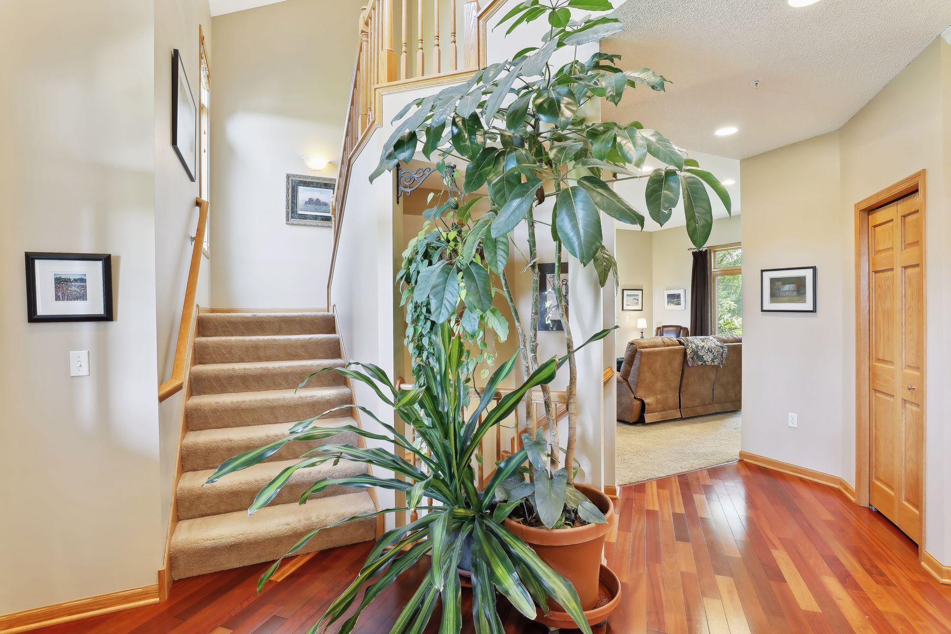 621 Cascade Drive Chaska, MN 55318 - Photo 22 of 60