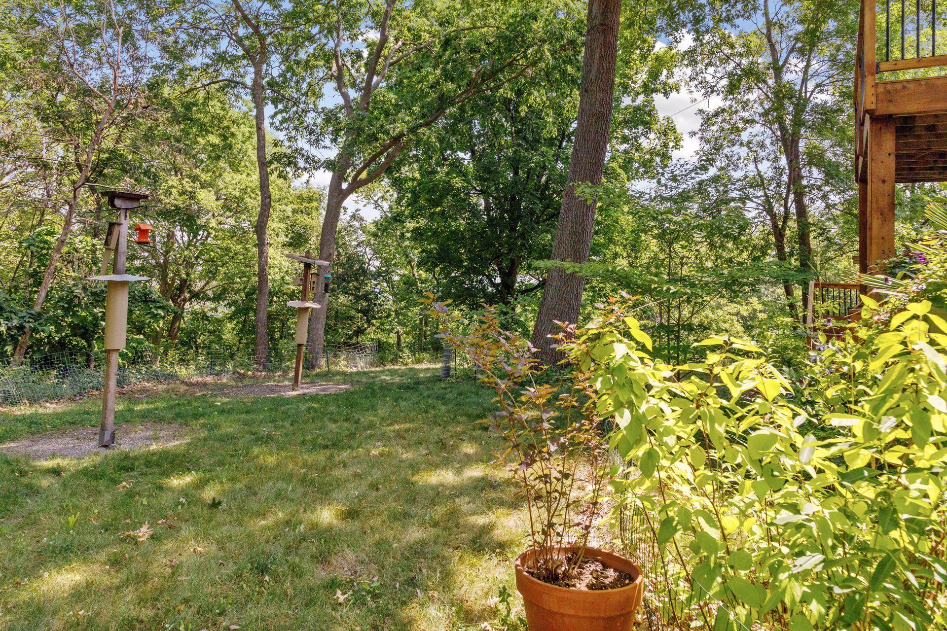 621 Cascade Drive Chaska, MN 55318 - Photo 49 of 60