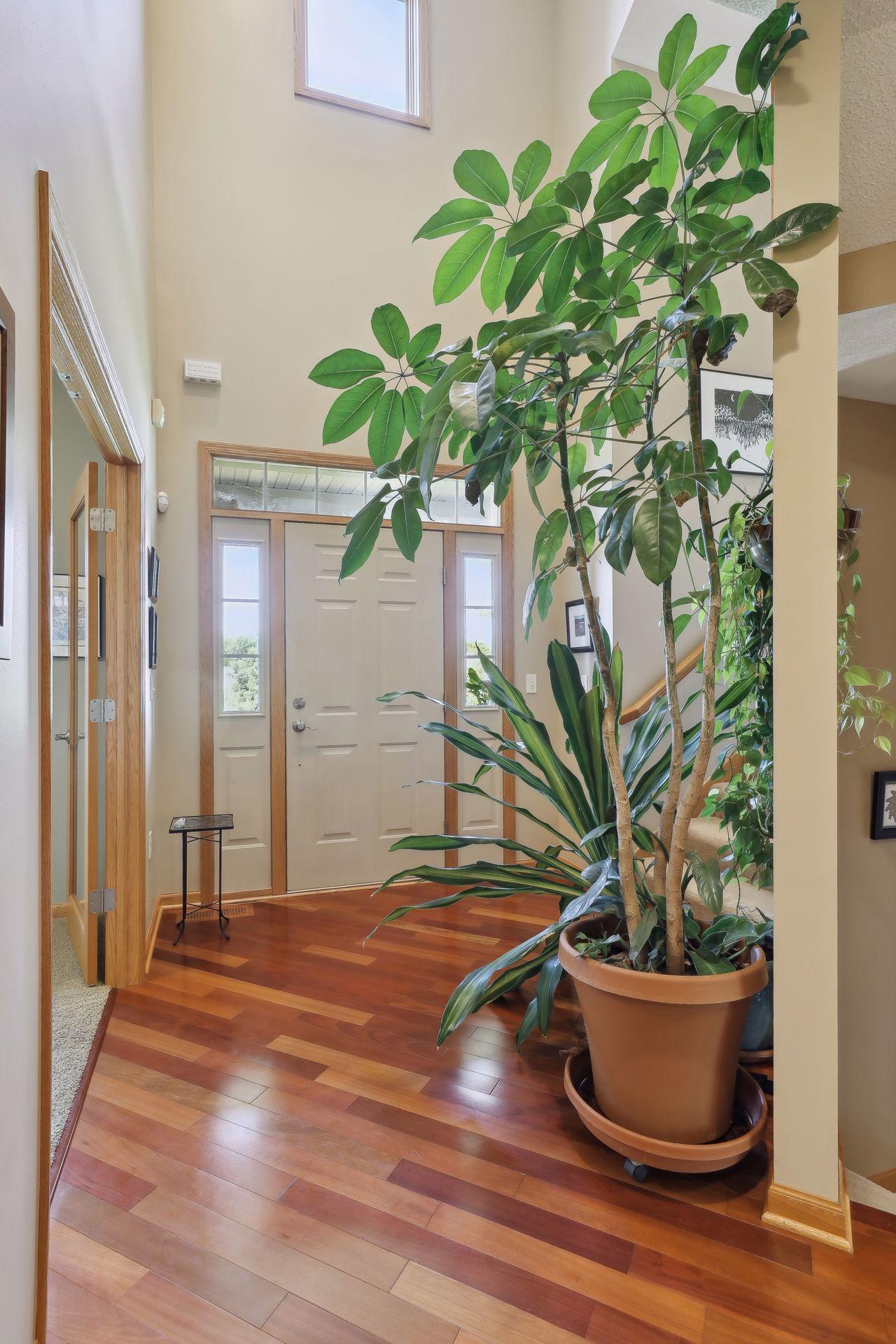 621 Cascade Drive Chaska, MN 55318 - Photo 6 of 60