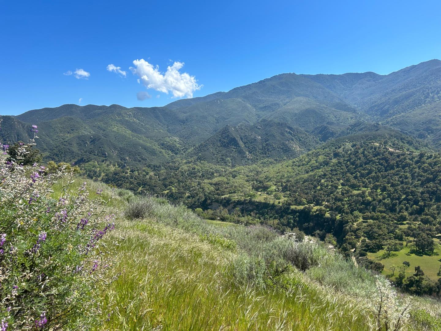 47208 Arroyo Seco Road Greenfield, CA 93927 - Photo 3 of 4 a view of a mountain in the distance in a field