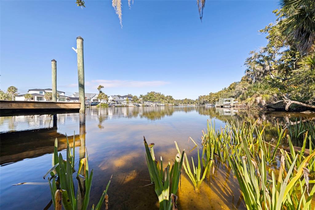 8609 Stoner Road Riverview, FL 33569 - Photo 49 of 66