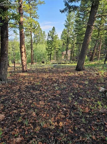 $32,000 | 1117 Appleby Drive, Woodland Park, CO 80863