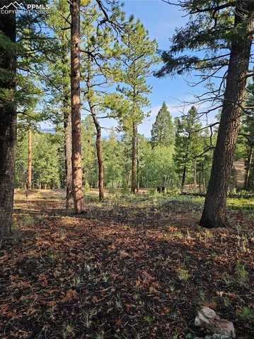 $32,000 | 1117 Appleby Drive, Woodland Park, CO 80863