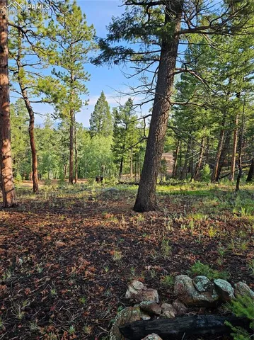 $32,000 | 1117 Appleby Drive, Woodland Park, CO 80863