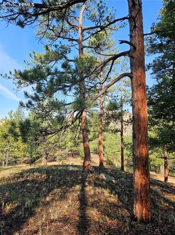 $32,000 | 1117 Appleby Drive, Woodland Park, CO 80863