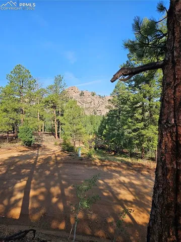 $32,000 | 1117 Appleby Drive, Woodland Park, CO 80863