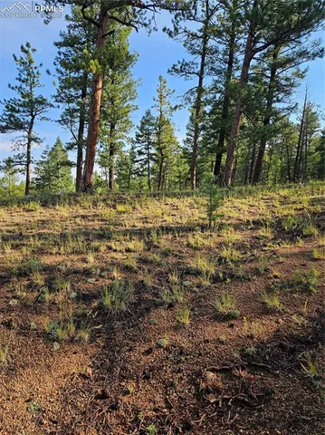 $32,000 | 1117 Appleby Drive, Woodland Park, CO 80863