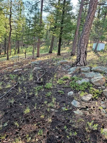 $32,000 | 1117 Appleby Drive, Woodland Park, CO 80863