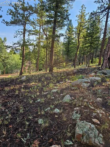 $32,000 | 1117 Appleby Drive, Woodland Park, CO 80863