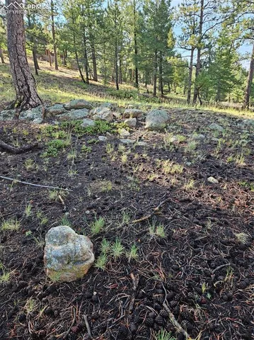 $32,000 | 1117 Appleby Drive, Woodland Park, CO 80863