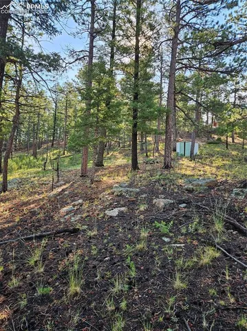 $32,000 | 1117 Appleby Drive, Woodland Park, CO 80863