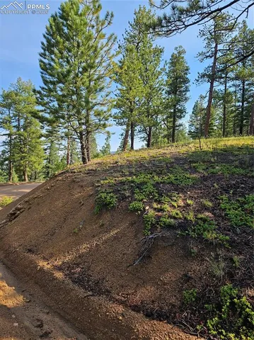 $32,000 | 1117 Appleby Drive, Woodland Park, CO 80863