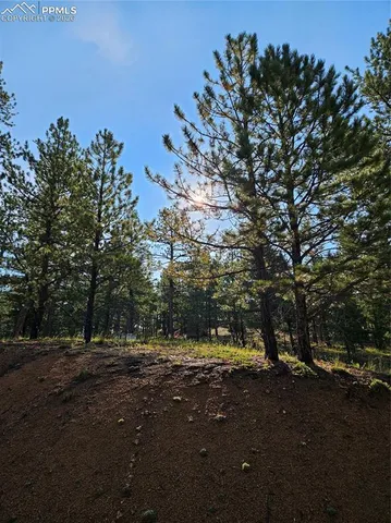 $32,000 | 1117 Appleby Drive, Woodland Park, CO 80863