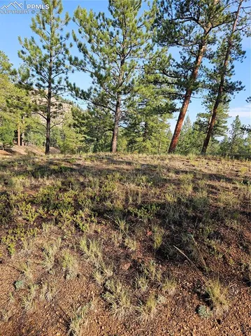 $32,000 | 1117 Appleby Drive, Woodland Park, CO 80863