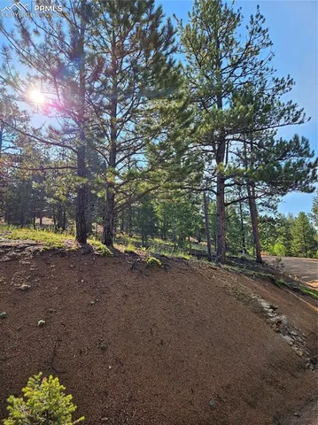 $32,000 | 1117 Appleby Drive, Woodland Park, CO 80863