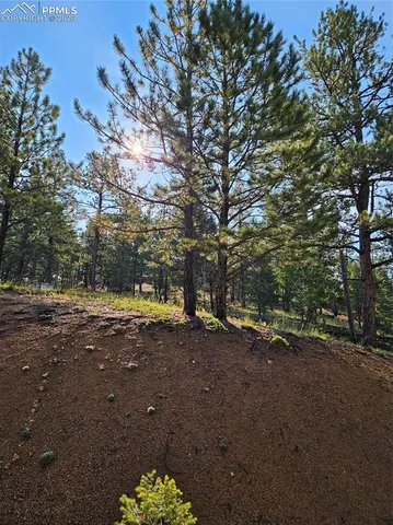 $32,000 | 1117 Appleby Drive, Woodland Park, CO 80863