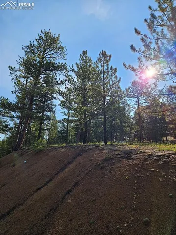 $32,000 | 1117 Appleby Drive, Woodland Park, CO 80863