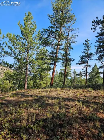 $32,000 | 1117 Appleby Drive, Woodland Park, CO 80863