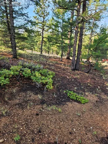 $32,000 | 1117 Appleby Drive, Woodland Park, CO 80863