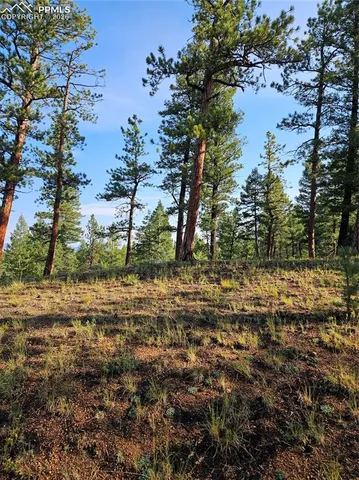 $32,000 | 1117 Appleby Drive, Woodland Park, CO 80863