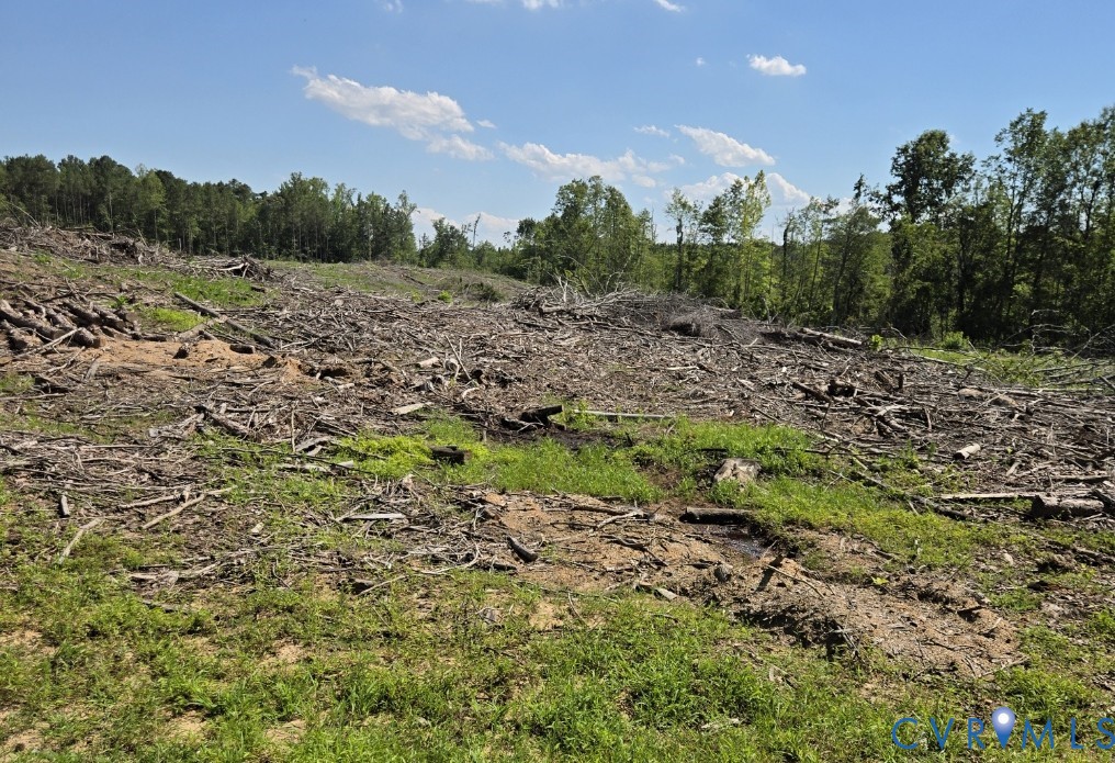 4801 Cattail Road Charles City, VA 23030 - Photo 1 of 8 Expansive cleared land featuring natural terrain a