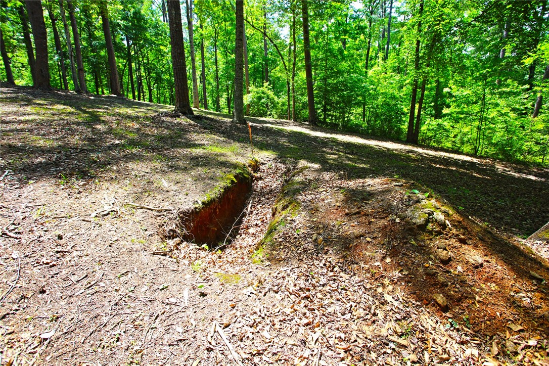 Lot 114 Harbor Point Seneca, SC 29672 - Photo 42 of 46 This tranquil wooded lot offers a private escape surrounded by mature trees and natural beauty.
