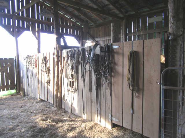 2050 Vales Mill Road Pulaski, TN 38478 - Photo 15 of 20 View Looking down the Barn Hall Outside of 2 of the Barn Stalls